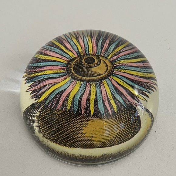 John Derian Other - JOHN DERIAN Glass Dome Paperweight Decoupage Sea Anemone Decor Handmade